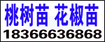̩ʢԴrIƼ޹˾