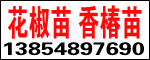 ̩ǈ@ˇ