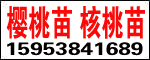 ̩^ޏΈ@ˇ