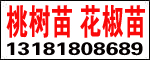 ̩AdNľ@ˇ