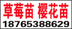 ̩_(ki)l(f)^(q)Ɉ@ˇ(chng) 