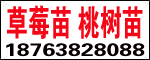 ̩_l^QE@ˇ