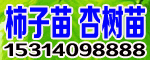 ̩Иsu