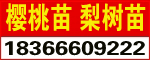 ̩ʢľ