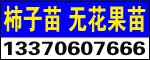 ̩MԴrIƼ޹˾