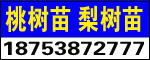 ̩_l^Դľ