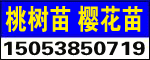 ̩_(ki)l(f)^(q)@ˇ(chng)