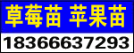 ̩_l^ʢT@ˇ