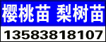 ̩кrIƼ޹˾