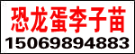 ̩кd@ˇ޹˾