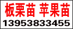 ̩һrIƼ޹˾