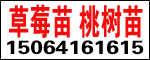 ̩_l(f)^(q)\(chng)@ˇ(chng)