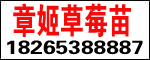 ̩Z@ˇ
