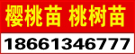 ̩_(ki)l(f)^(q)(sh)緱أvSԻأ