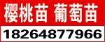 ̩_l(f)^(q)r(nng)@ˇ(chng)
