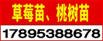 ̩_l(f)^(q)혌I(y)