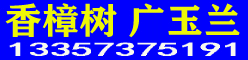 𻨘